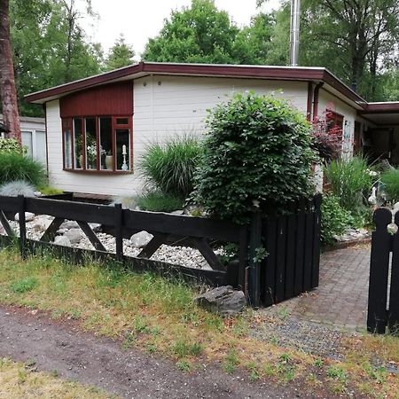 Sfeervol, Ruim En Luxe Chalet In Bosrijke Omgeving Diessen Exterior foto