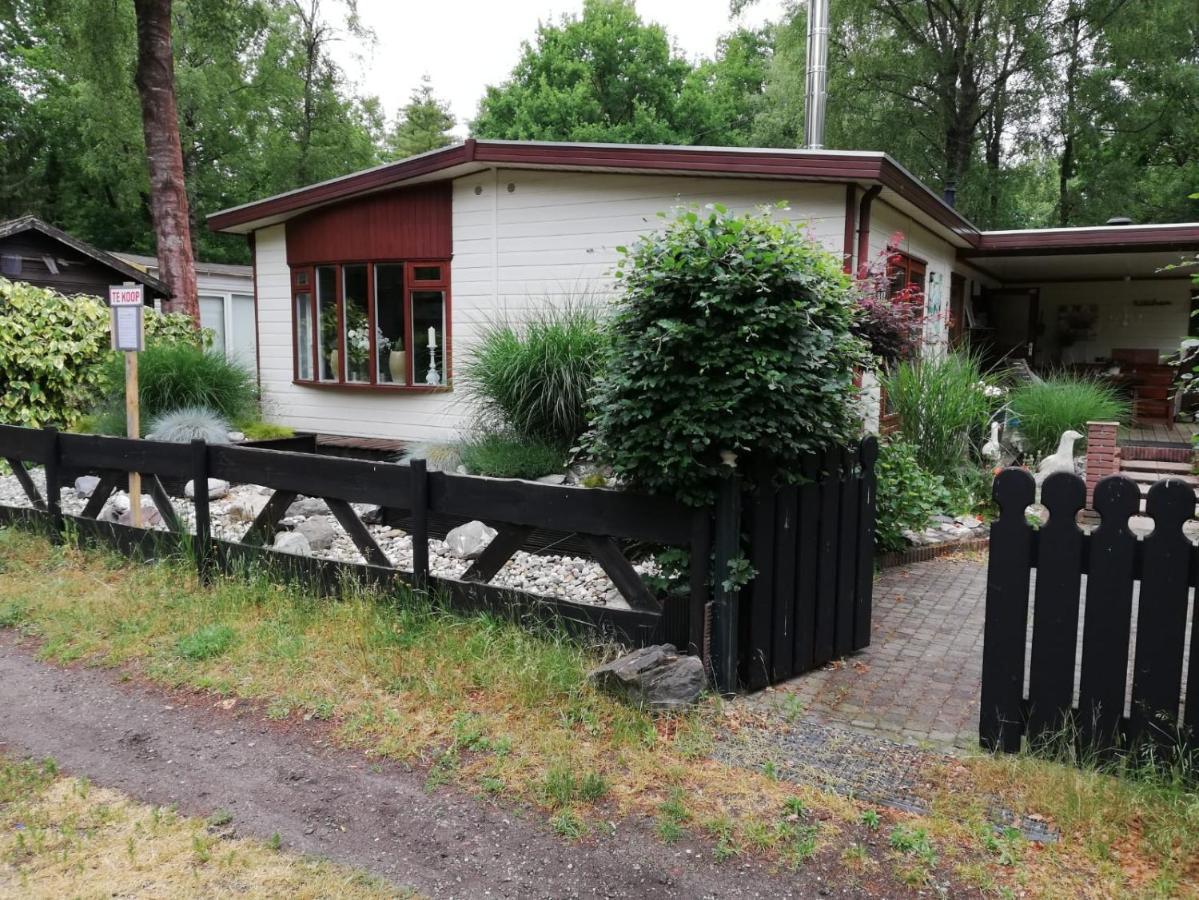 Sfeervol, Ruim En Luxe Chalet In Bosrijke Omgeving Diessen Exterior foto